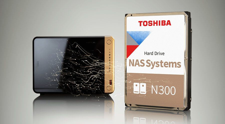Toshiba Veri Kurtarma Sakarya