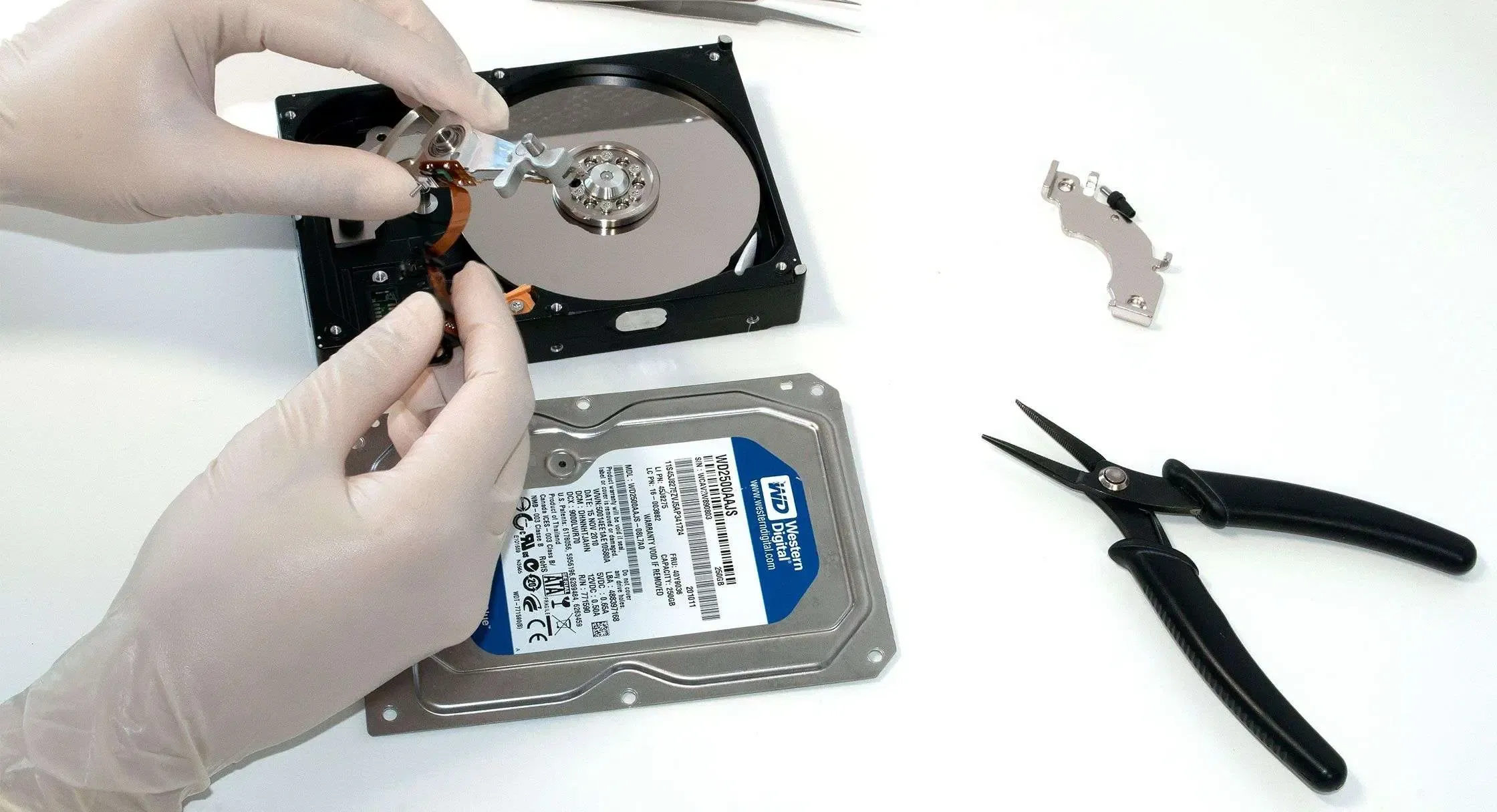 Wd Veri Kurtarma Merkezi a person holding a hard drive