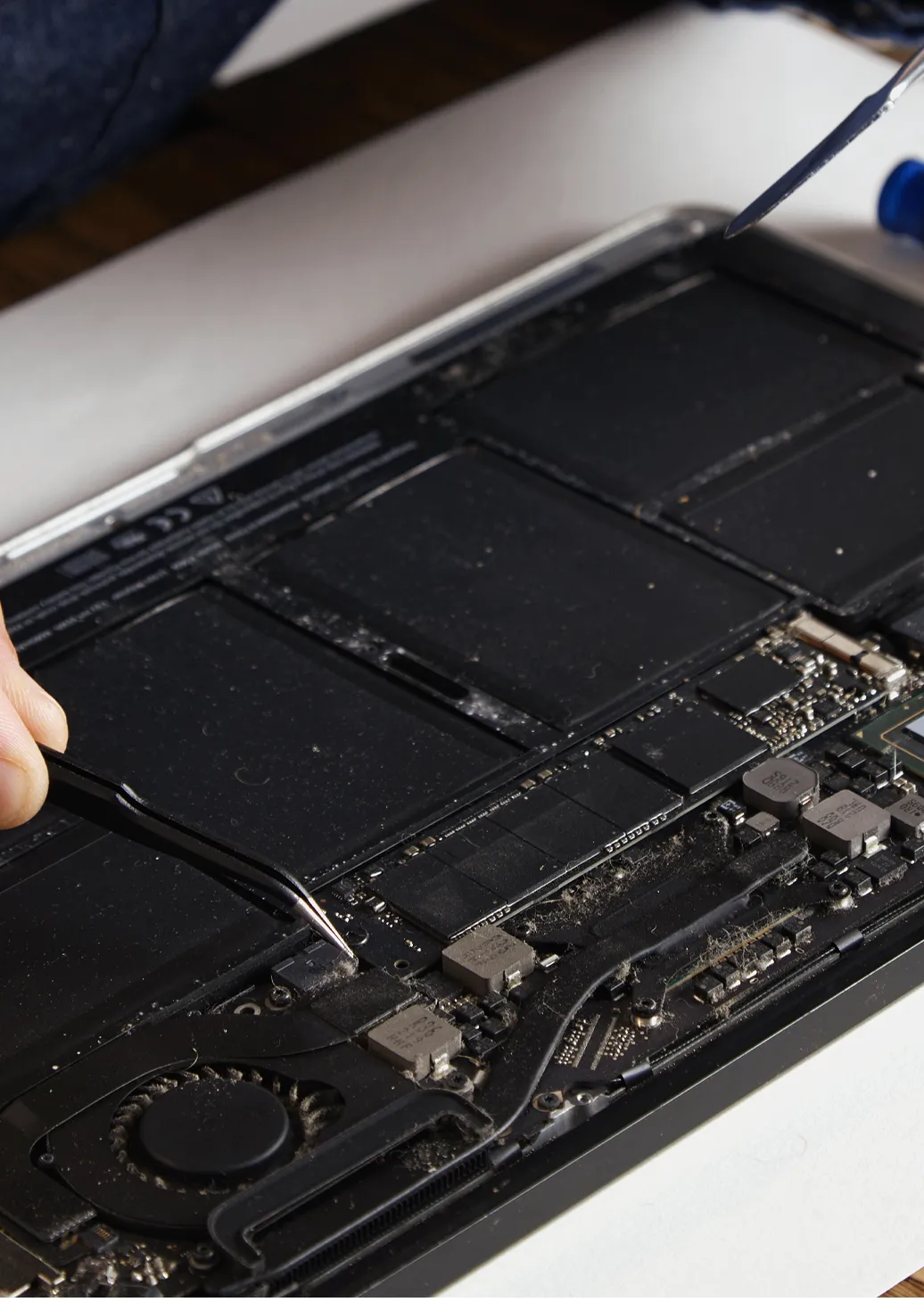 a person holding a screwdriver Sakarya MacBook Tamir