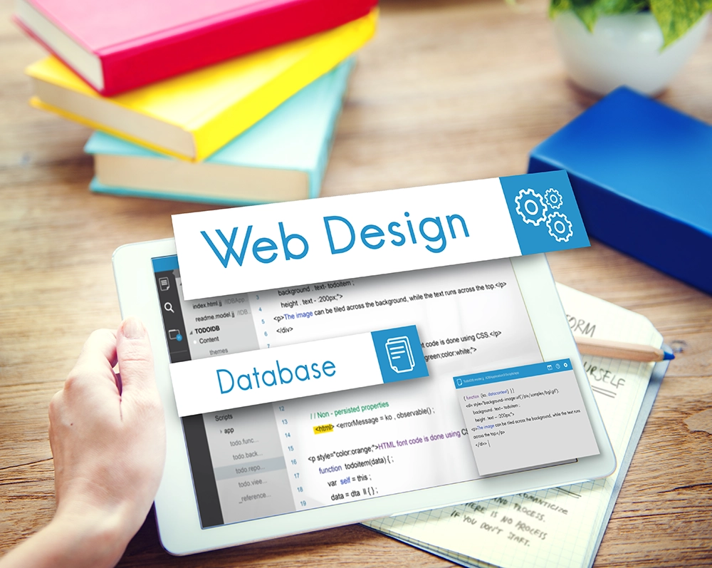 33 web site tasarımı