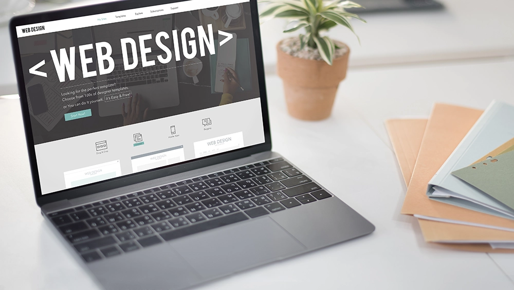 44 web site tasarımı