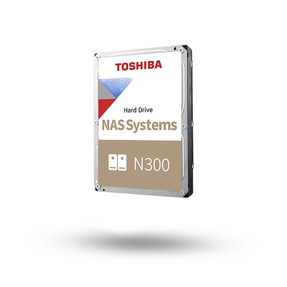 Toshiba N300 NAS HDD Veri Kurtarma