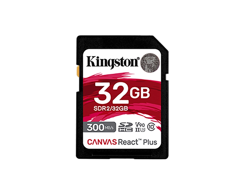 Kingston Canvas React SSD Veri Kurtarma