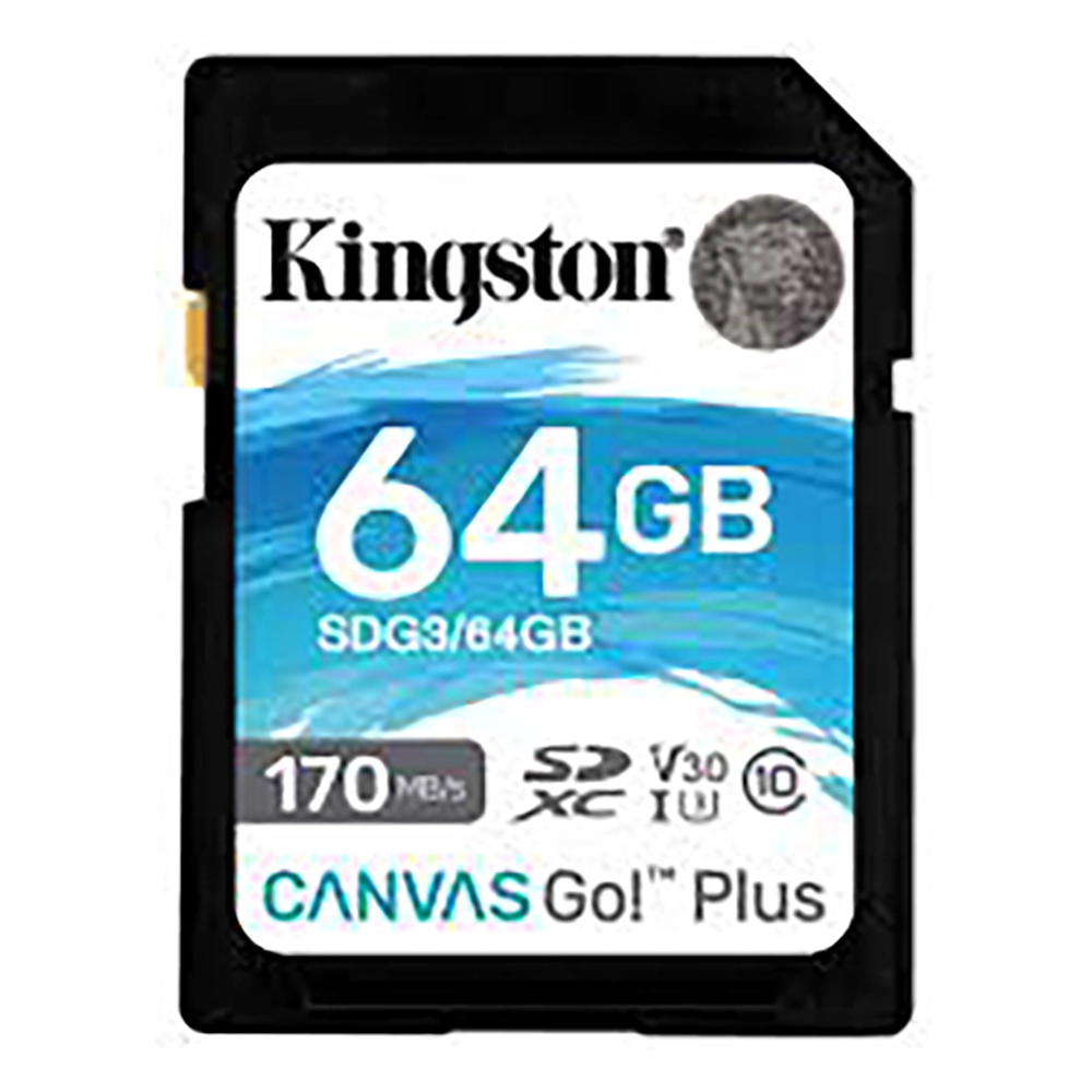 Kingston Canvas Go Veri Kurtarma